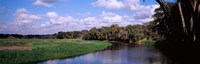 Reflection of clouds in a river, Myakka River, Myakka River State Park, Sarasota County, Florida, USA by Panoramic Images - 28" x 9"