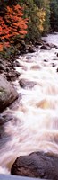 River flowing through a forest, Ausable River, Adirondack Mountains, Wilmington, New York State (vertical) Fine Art Print
