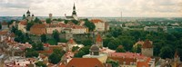 High angle view of a townscape, Old Town, Tallinn, Estonia Fine Art Print