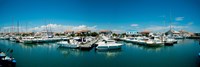 Saintes-Maries-De-La-Mer, Bouches-Du-Rhone, Provence-Alpes-Cote d'Azur, France Fine Art Print