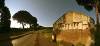 Tombs and umbrella pines along the Via Appia Antica, Rome, Lazio, Italy Fine Art Print