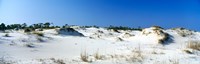 Sand dunes in a desert, St. George Island State Park, Florida Panhandle, Florida, USA by Panoramic Images - 28" x 9"