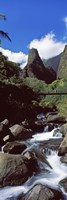 Stream flowing through a valley, Iao Needle, Iao Valley, Wailuku, Maui, Hawaii, USA by Panoramic Images - 9" x 27"