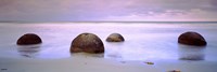 Moeraki Boulders on the beach, Oamaru, Otago Region, South Island, New Zealand Fine Art Print