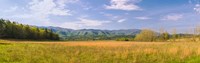 Field with a mountain range in the background, Cades Cove, Great Smoky Mountains National Park, Blount County, Tennessee, USA Fine Art Print