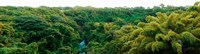 Countryside, Mauritius Island, Mauritius by Panoramic Images - 33" x 9"