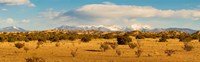 High desert plains landscape with snowcapped Sangre de Cristo Mountains in the background, New Mexico by Panoramic Images - 29" x 9"