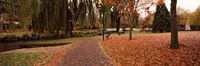 Park at banks of the Avon River, Christchurch, South Island, New Zealand Fine Art Print