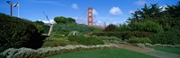 Suspension bridge, Golden Gate Bridge, San Francisco Bay, San Francisco, California, USA Fine Art Print