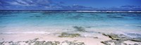 Reef, Rarotonga, Cook Islands, New Zealand Fine Art Print