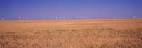 Wind farm at Panhandle area, Texas, USA Fine Art Print