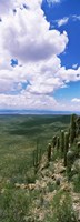 Clouds over a landscape, Tucson Mountain Park, Tucson, Arizona, USA Fine Art Print