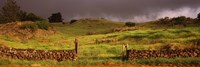 Stone wall in a field, Kula, Maui, Hawaii, USA Fine Art Print