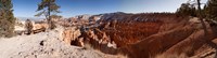 Rock formations at Bryce Canyon National Park, Utah, USA Fine Art Print