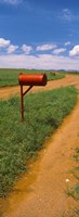 Red mailbox at the roadside, San Rafael Valley, Arizona, USA Fine Art Print