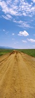 Dirt road passing through San Rafael Valley, Arizona Fine Art Print