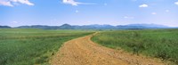 Dirt road passing through a landscape, San Rafael Valley, Arizona Fine Art Print
