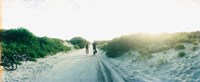 Rear view of a couple cycling along a beach trail, Fort Tilden, Queens, New York City, New York State, USA by Panoramic Images - 22" x 9"