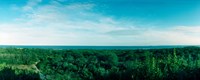 High angle view of trees with Atlantic Ocean at Fort Tilden beach, Queens, New York City, New York State, USA by Panoramic Images - 22" x 9"