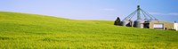 Wheat field with silos in the background, Palouse County, Washington State Fine Art Print