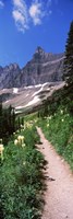 Hiking trail at US Glacier National Park, Montana, USA Fine Art Print