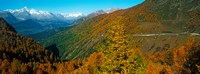 Trees with road in autumn at Simplon Pass, Valais Canton, Switzerland Fine Art Print