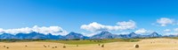 Hay bales in a field with Canadian Rockies in the background, Alberta, Canada by Panoramic Images - 32" x 9"