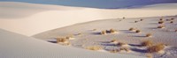 View of the White Sands Desert in New Mexico Fine Art Print