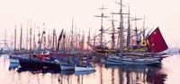 Tall ship in Douarnenez harbor, Finistere, Brittany, France Fine Art Print