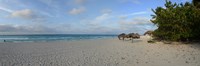 Sunshades on the beach, Varadero, Matanzas Province, Cuba Fine Art Print