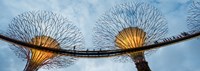 Elevated walkway among Supertrees, Gardens by the Bay, Singapore Fine Art Print