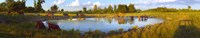 Cows at a waterhole, Quebec, Canada by Panoramic Images - 48" x 9"