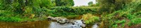 River flowing through a forest, Acadia River, Quebec, Canada by Panoramic Images - 44" x 9"