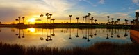 Reflection of trees in water at sunset, Lake Worth, Palm Beach County, Florida, USA Fine Art Print