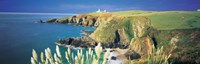 High angle view of a coast, Housel Bay, Lizard Lighthouse, Lizard Point, Cornwall, England by Panoramic Images - 28" x 9"