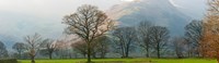 Autumn trees with mountain in the background, Langdale, Lake District National Park, Cumbria, England Fine Art Print