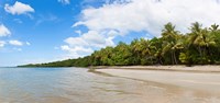 Trees on the beach, Cape Tribulation, Daintree River National Park, Queensland, Australia Fine Art Print