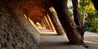 Corridor in a park, Park Guell, Barcelona, Catalonia, Spain Fine Art Print