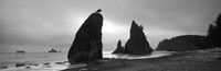 Silhouette of seastacks at sunset, Olympic National Park, Washington State (black and white) Fine Art Print