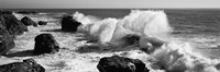 Waves breaking on the coast, Santa Cruz, California (black and white) Fine Art Print