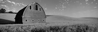 Black and White view of Old barn in a wheat field, Washington State by Panoramic Images - 27" x 9"