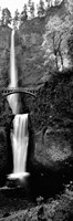 Footbridge in front of a waterfall, Multnomah Falls, Columbia River Gorge, Multnomah County, Oregon (black and white) Fine Art Print