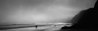 Surfers on the beach, Point Reyes National Seashore, Marin County, California, USA Fine Art Print