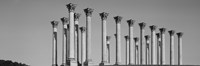 Low angle view of columns, National Capitol Columns, National Arboretum, Washington DC, USA Fine Art Print