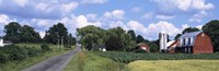 Road passing through a farm, Emmons Road, Tompkins County, Finger Lakes Region, New York State, USA Fine Art Print