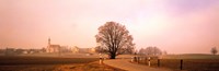 Tree & road Lansberg vicinity Germany Fine Art Print