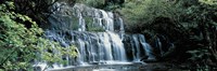 Waterfall, South Island New Zealand Fine Art Print