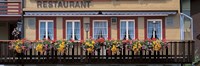 Restaurant Windows, Appenzell Switzerland Fine Art Print