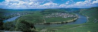 Vineyard Moselle River Germany Fine Art Print
