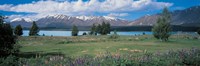 Tekapo Lake South Island New Zealand Fine Art Print